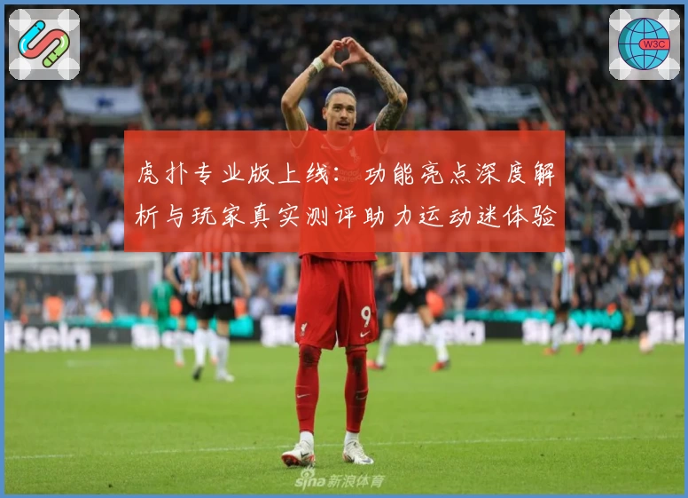 虎扑专业版上线:功能亮点深度解析与玩家真实测评助力运动迷体验升级